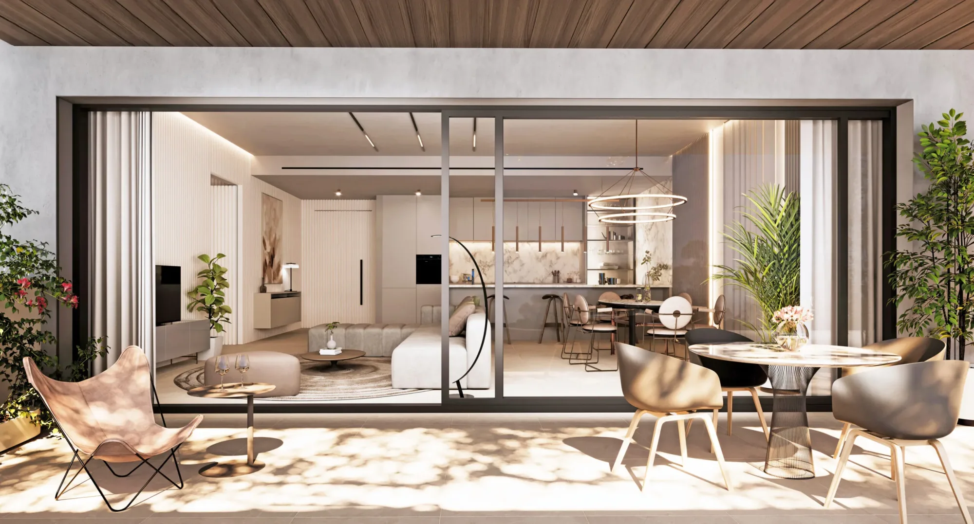 Salvia — interior 10